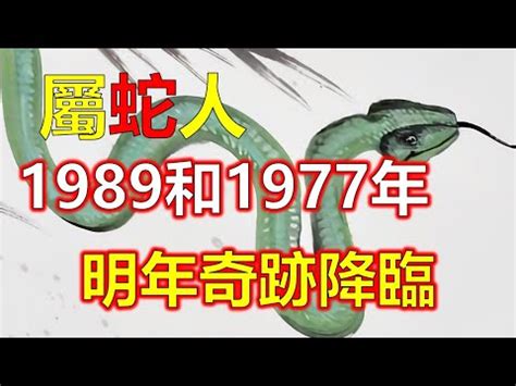 1989屬蛇幸運色|1989年生肖蛇的是什么命 89年的属蛇人一生命运分析